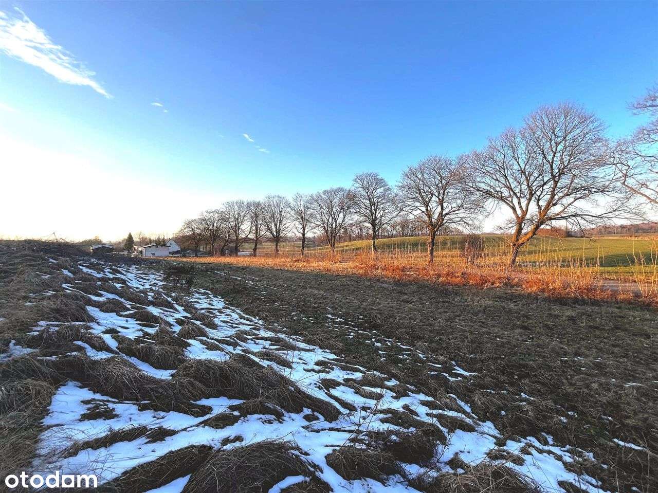 Działka budowlana - Zwartówko - Pełny obrazek: 5/7