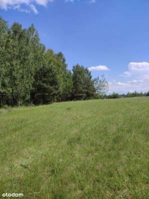 Działka 6,86 ha | Piękne tereny | Dotacje - Pełny obrazek: 5/9