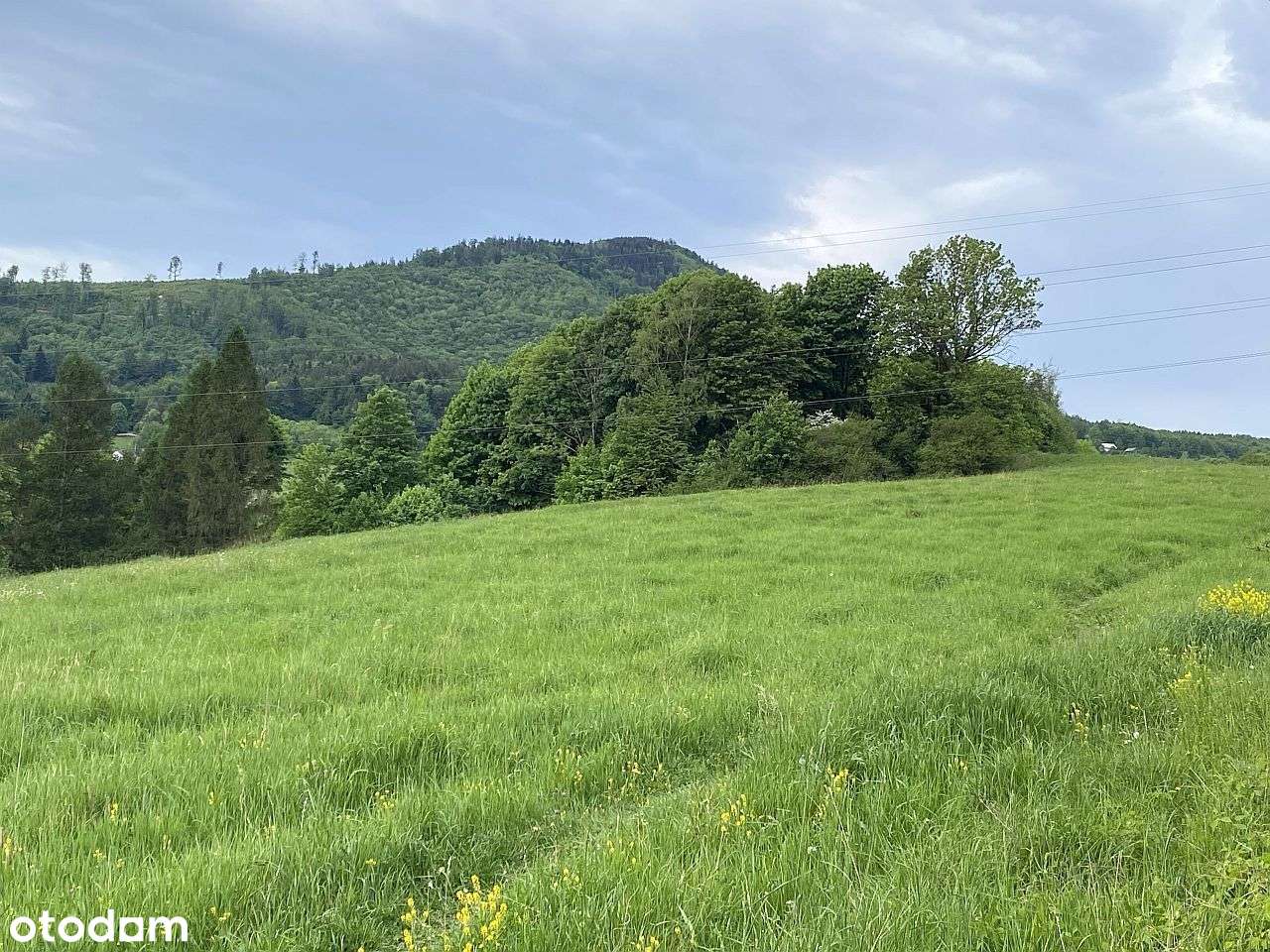 Ustroń - działka 21 ar - Pełny obrazek: 2/20