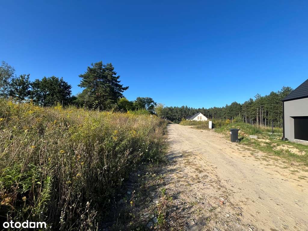 Działka na sprzedaż w Pniewie - Pełny obrazek: 5/5