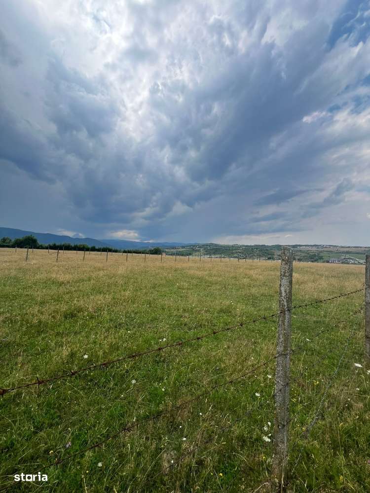 Teren extravilan Cisnadie, Str. Selimbarului – 2.380 mp - Imagine principală: 5/6