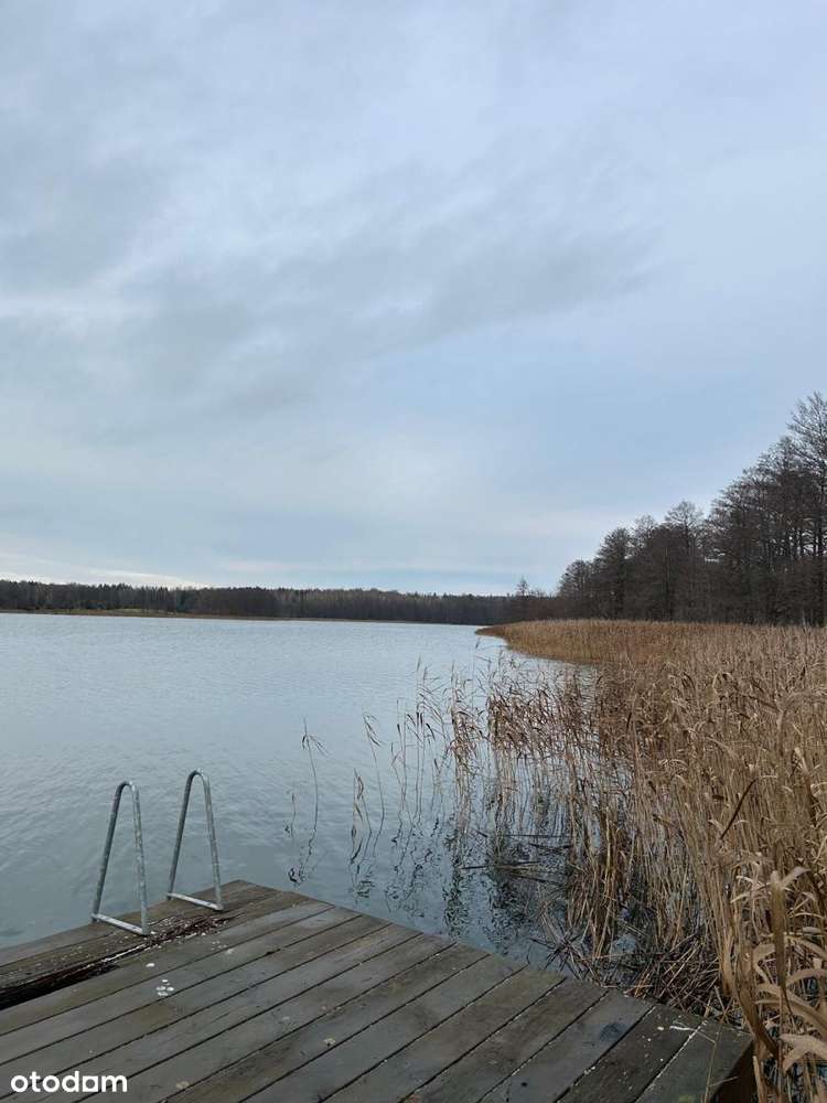 Działka z linią brzegową jeziora Mleczówka - Pełny obrazek: 5/6