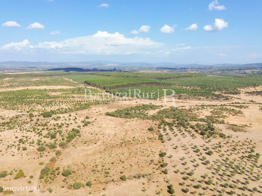 Herdade Agropecuária de 87 hectares em Penamacor - Grande imagem: 5/39