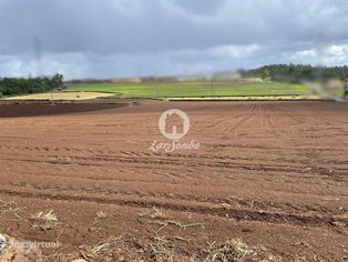 Terreno rústico de 24.476m2 com 100m frente em Balazar, Póvoa de Va...