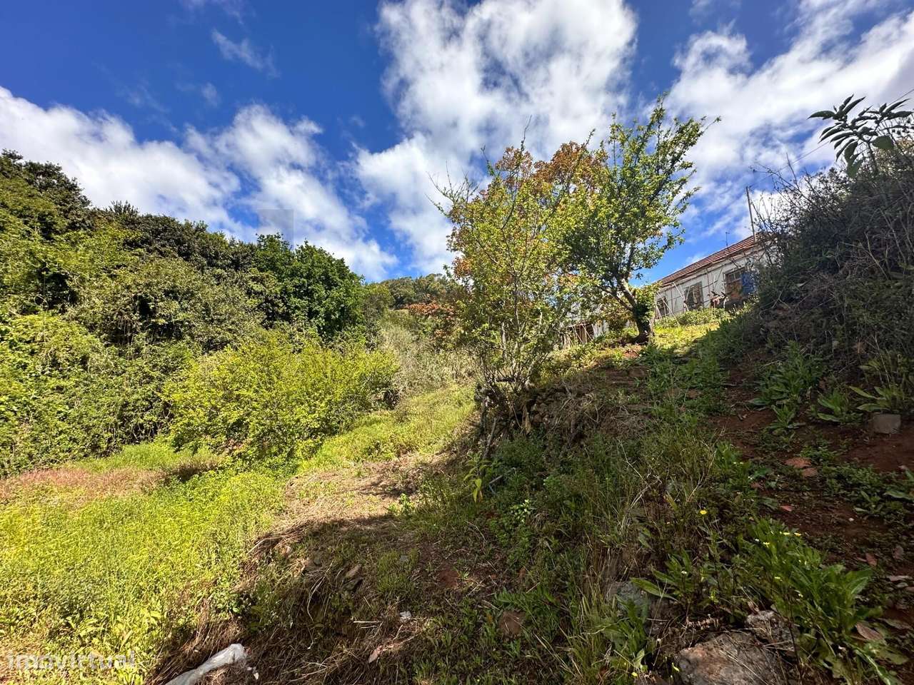 Oportunidade de Investimento em Caniço (Abegoaria): Terreno de 2.324 m-7