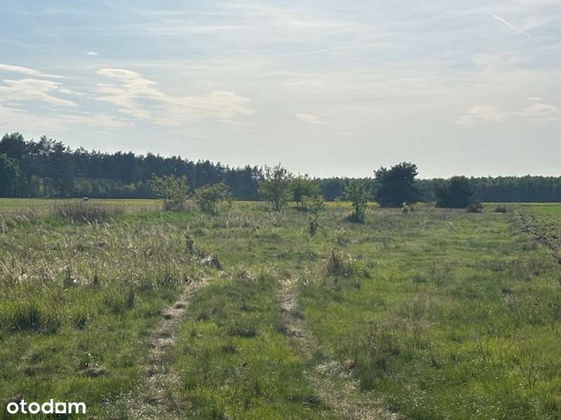 Działka pod inwestycje w pobliżu Kamiennogórskiej SSEMP!!!-5
