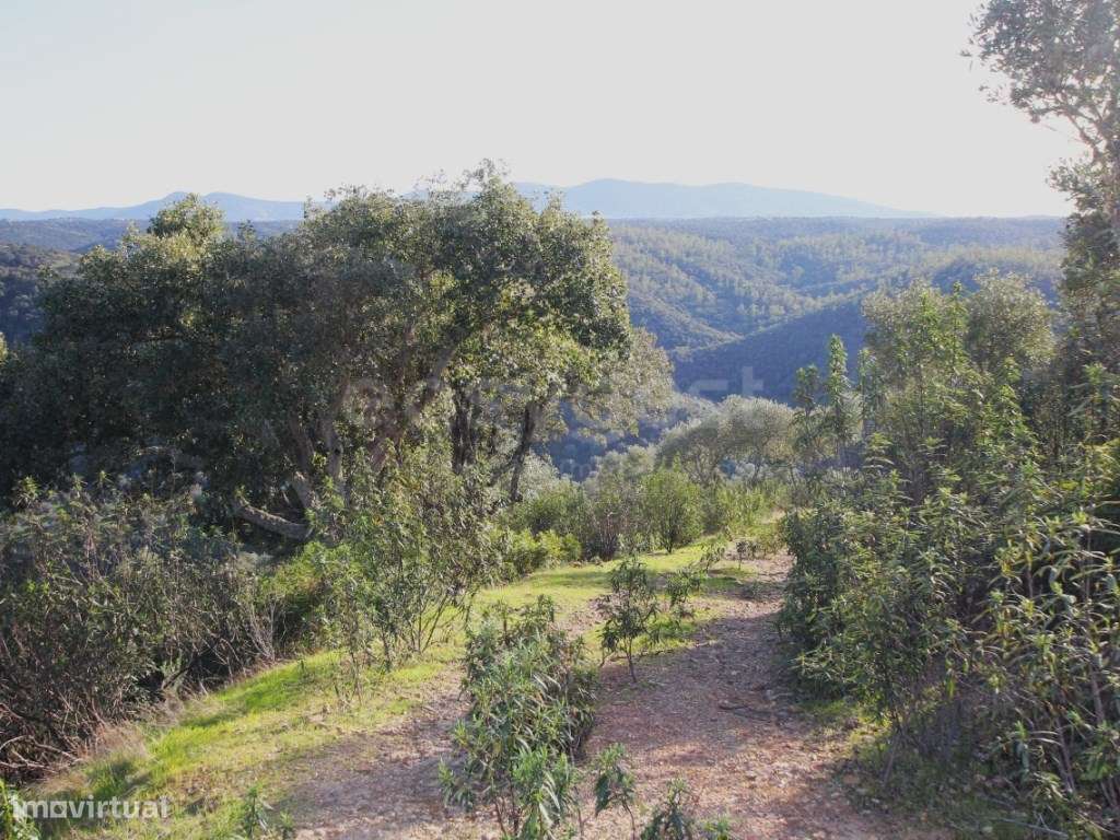 Herdade com acesso direto ao Rio Tejo Parque Natural do Tejo Intern... - Grande imagem: 4/11