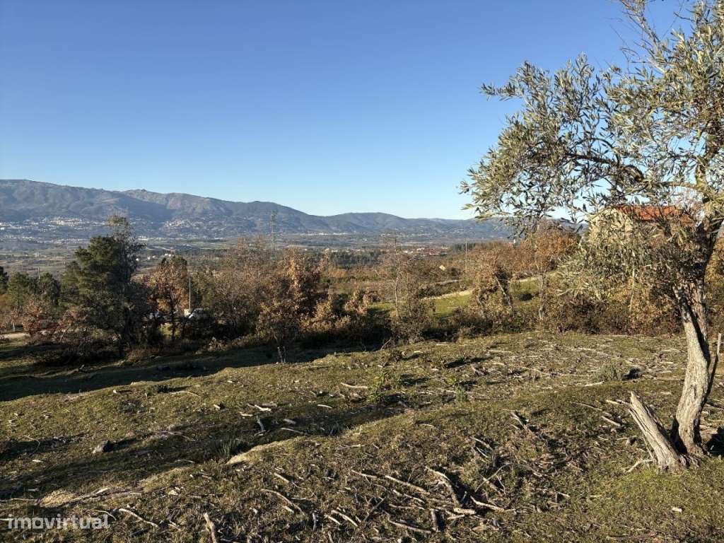 Quinta com casa em pedra para recuperar-10