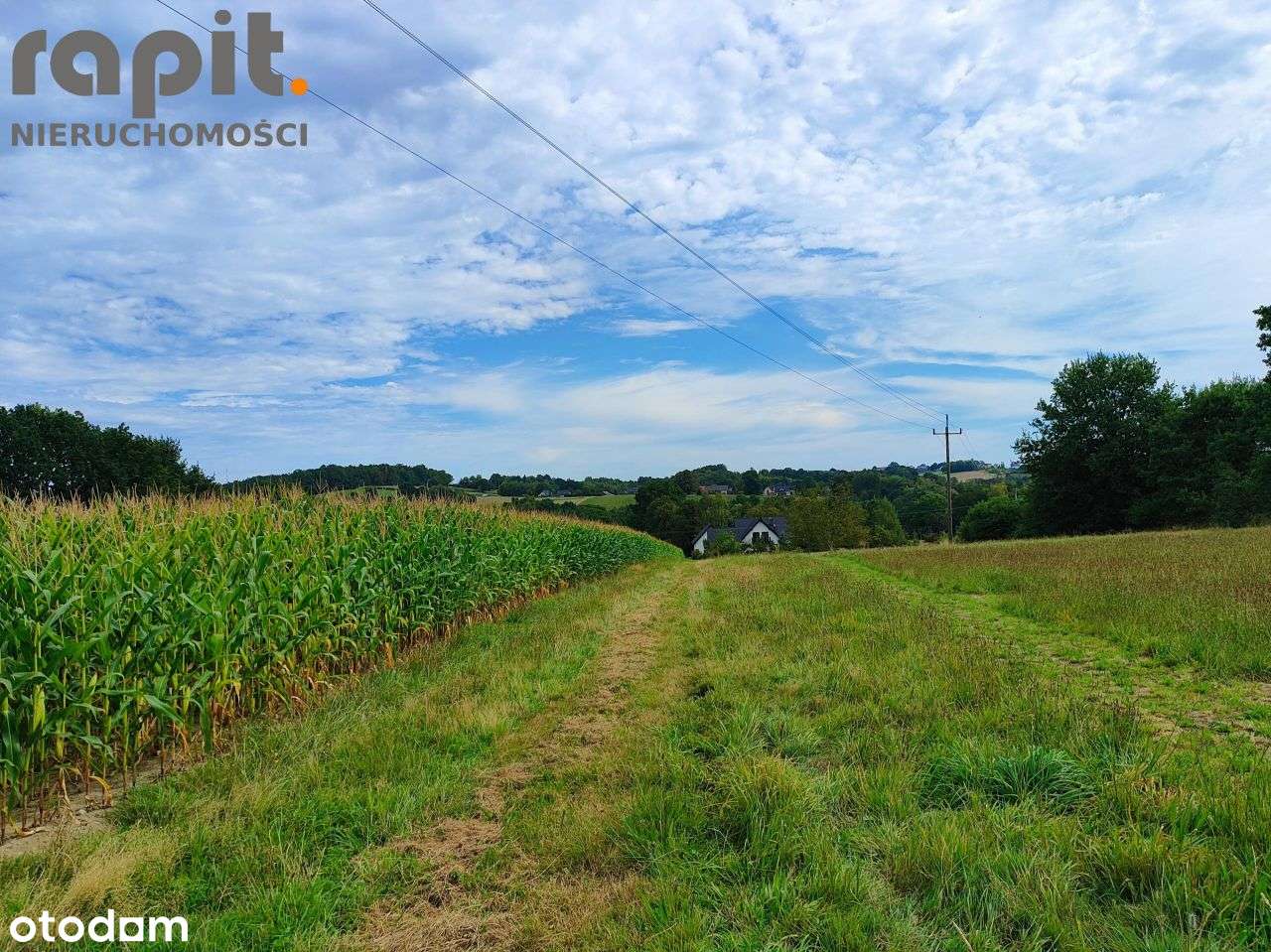 Działka budowlana Czechówka-1