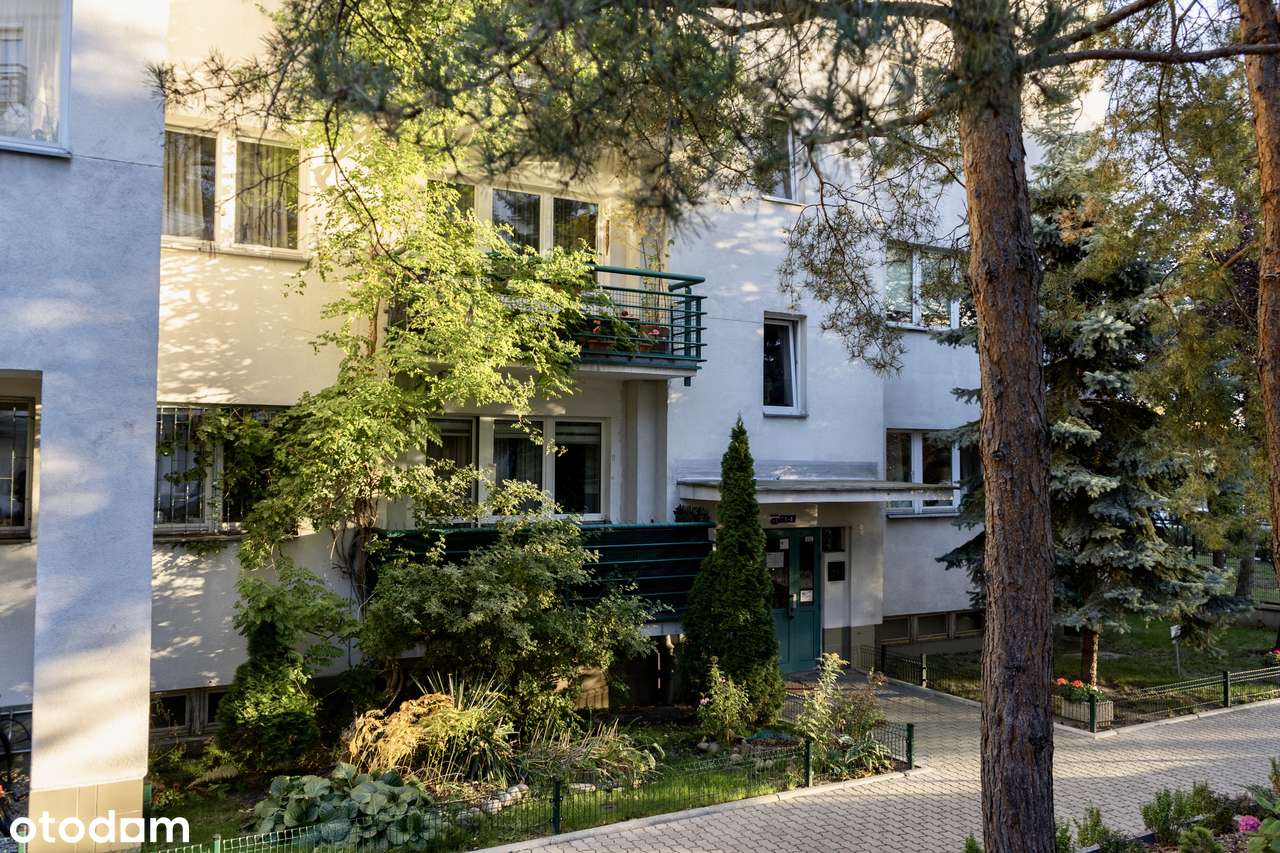 Oddzielna Kuchnia! Blisko Promenady! Do Wprowadzenia! Piwnica-10