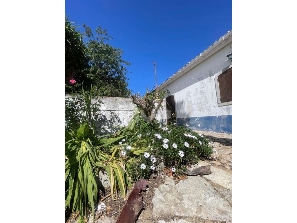 Quinta com 3 quartos e forno em Santa Bárbara de Nexe, Faro.-52