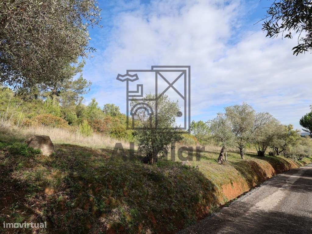 Oportunidade Única de Investimento Agrícola em Alenquer-23