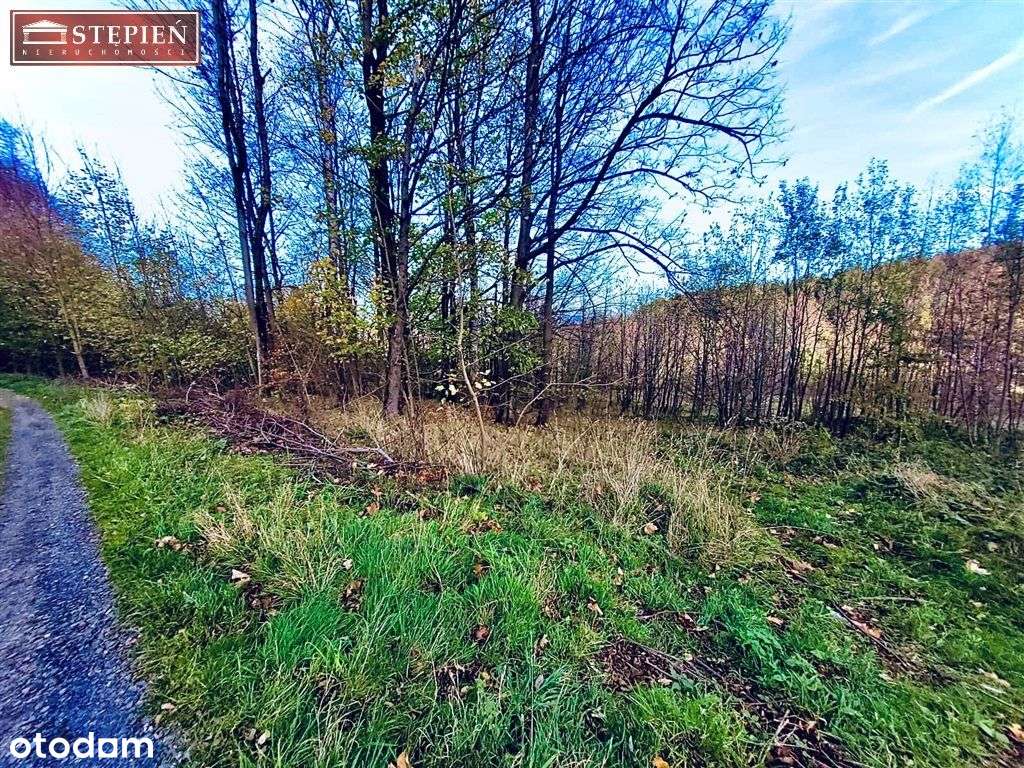 Działka, 3 677 m², Świeradów-Zdrój - Pełny obrazek: 4/12