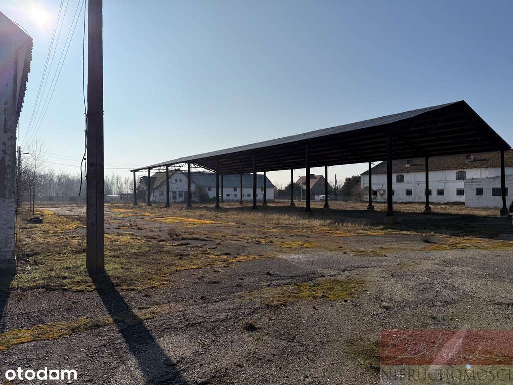 Z potencjałem przy drodze 187 i obwodnicy Szamotuł - Pełny obrazek: 5/8