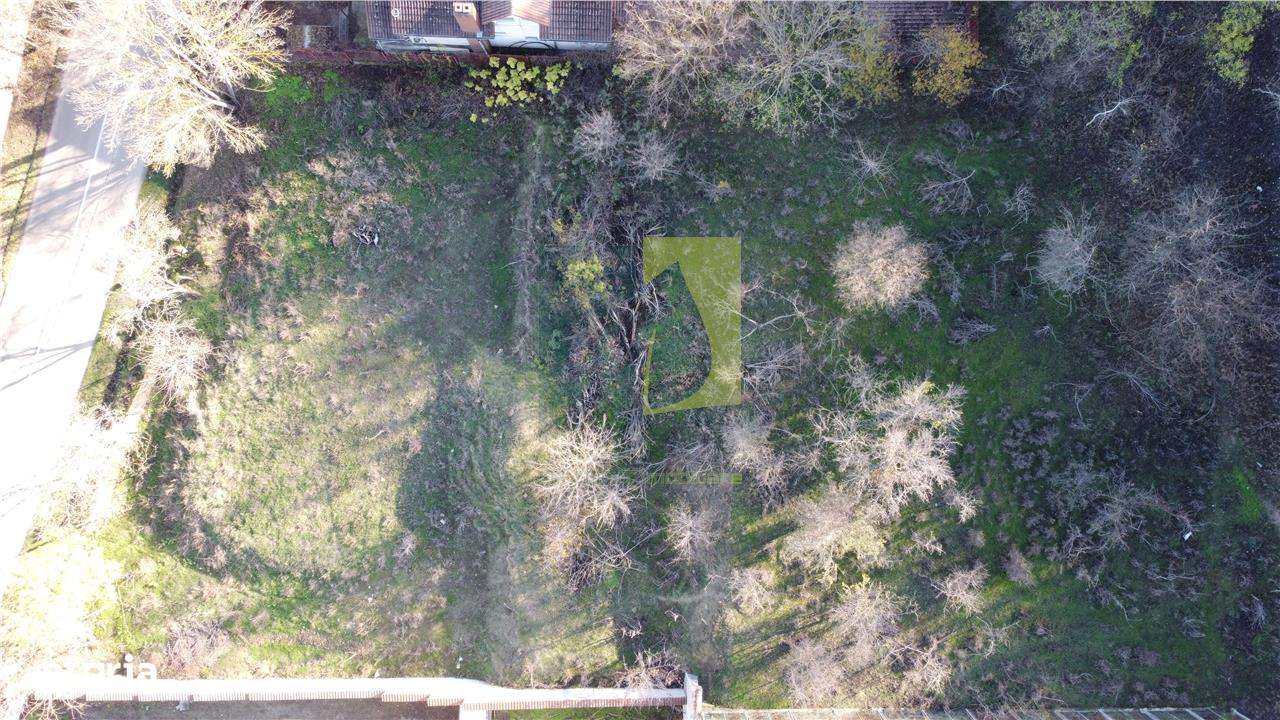 Teren de vanzare in Leamna de Jos - Imagine principală: 3/11