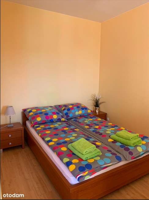 Duża kawalerka na wynajem! - Pełny obrazek: 5/11