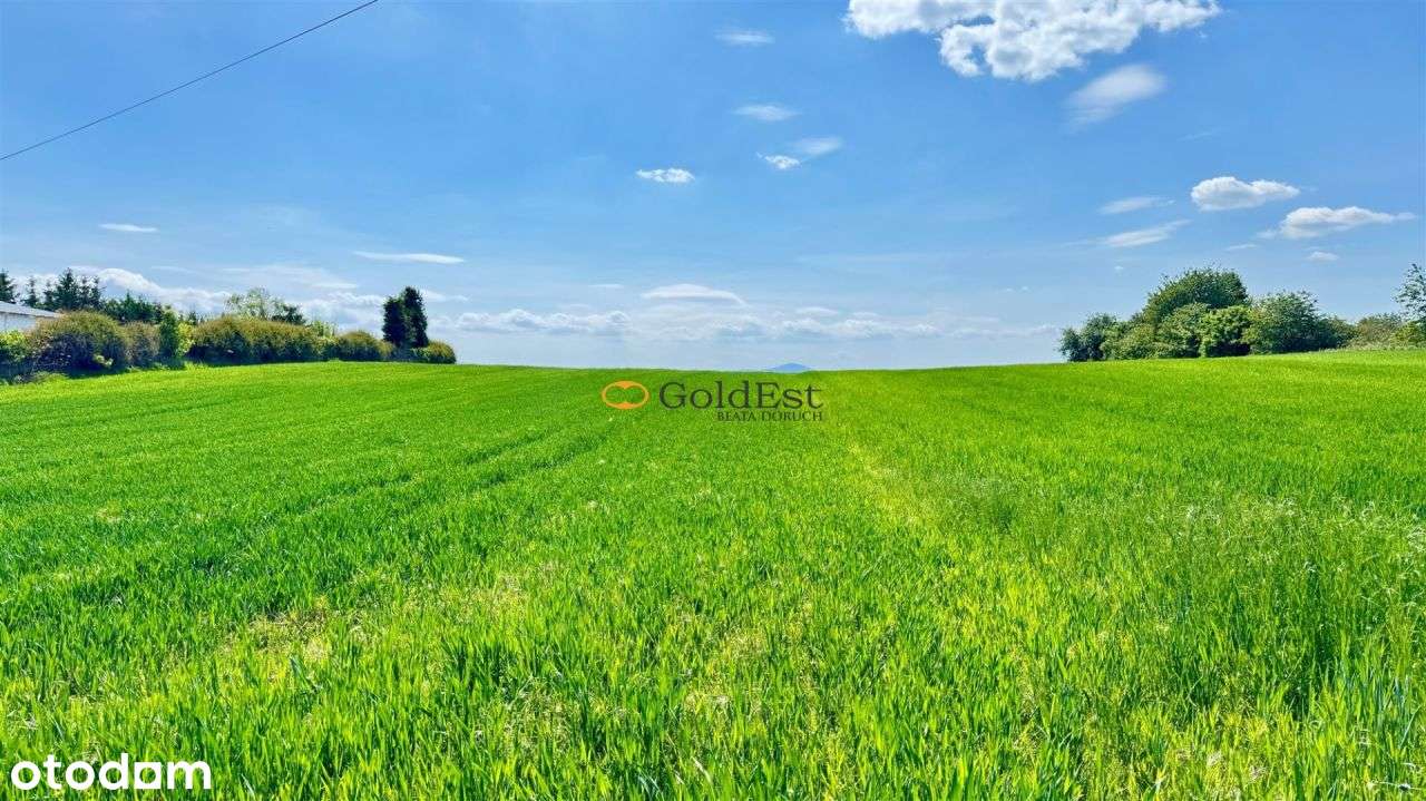 Działka na sprzedaż - blisko lasu i łąk - Pełny obrazek: 4/6