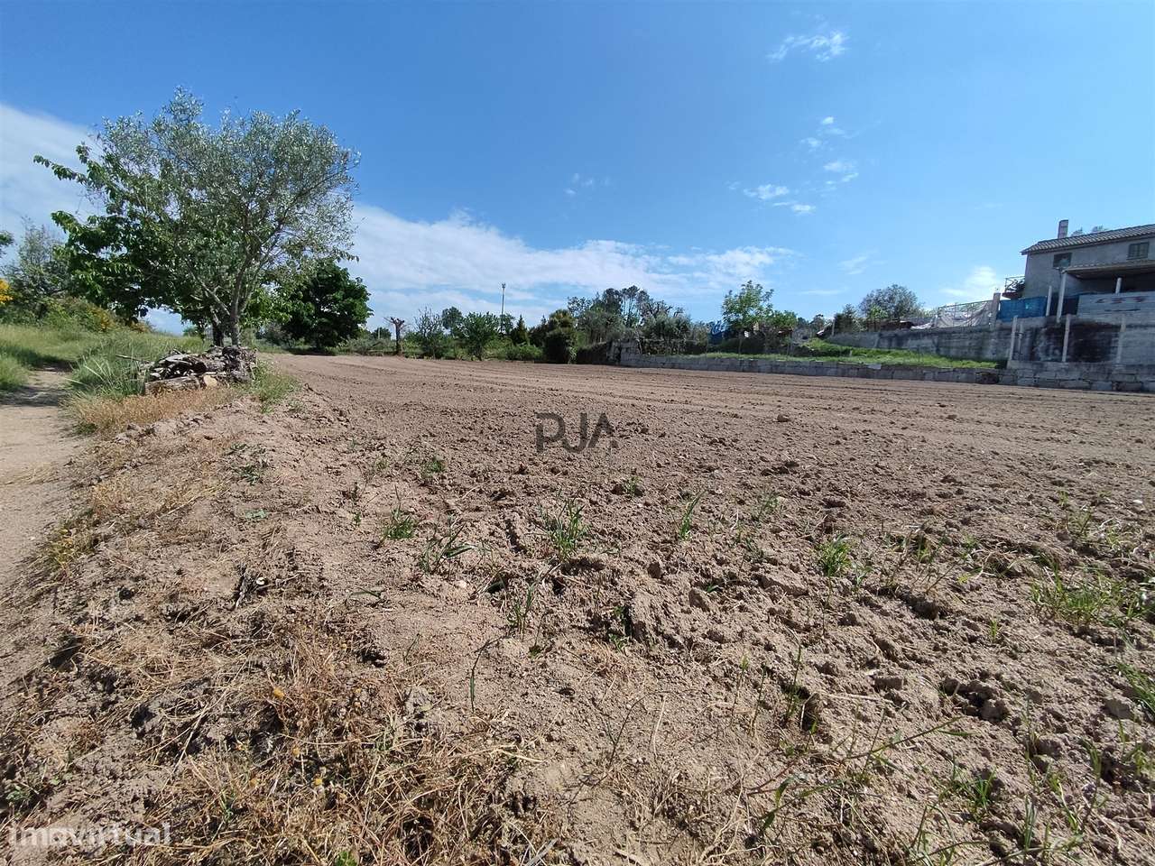 Quinta com 1,8ha em Sezures, Penalva do Castelo - Grande imagem: 5/14