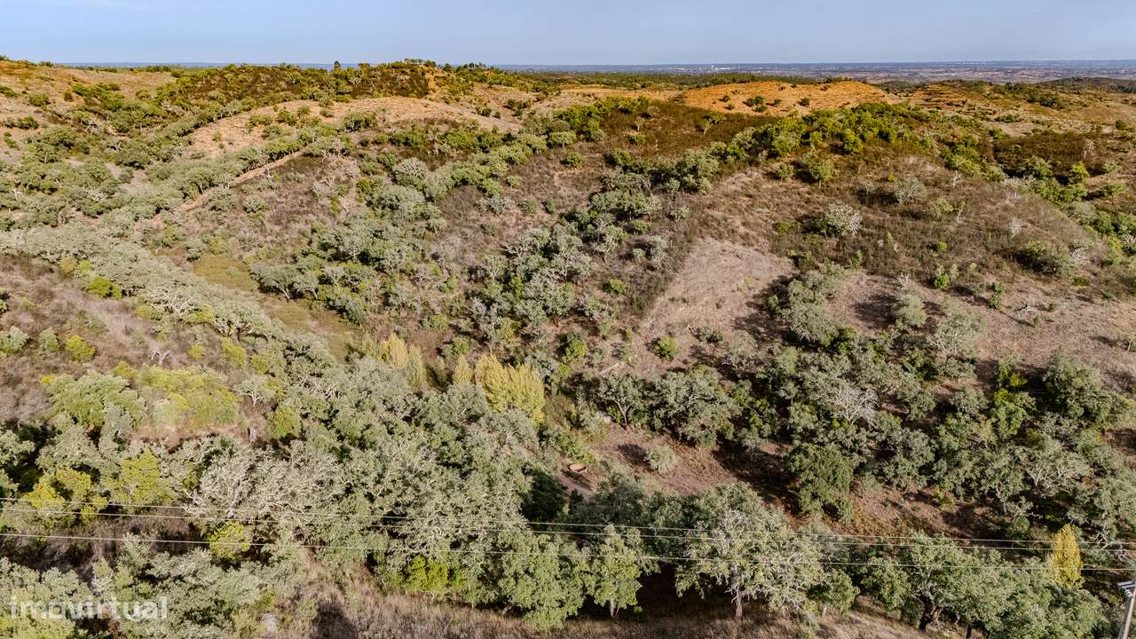 QUINTA | PARA VENDA | ALENTEJO | ODEMIRA-7