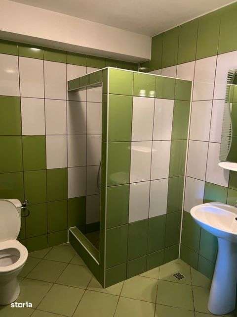 2 Pensiuni la pret de una! Campulung Moldovenesc - 2140 mp-12