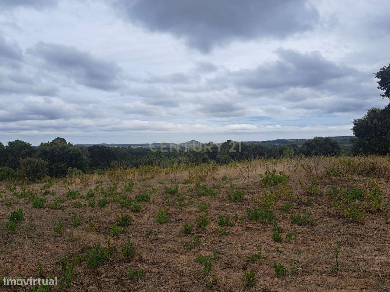 Terreno Rústico em Galinheiras, U.F. Abrigada e Cabanas de Torres, Ale - Grande imagem: 5/16