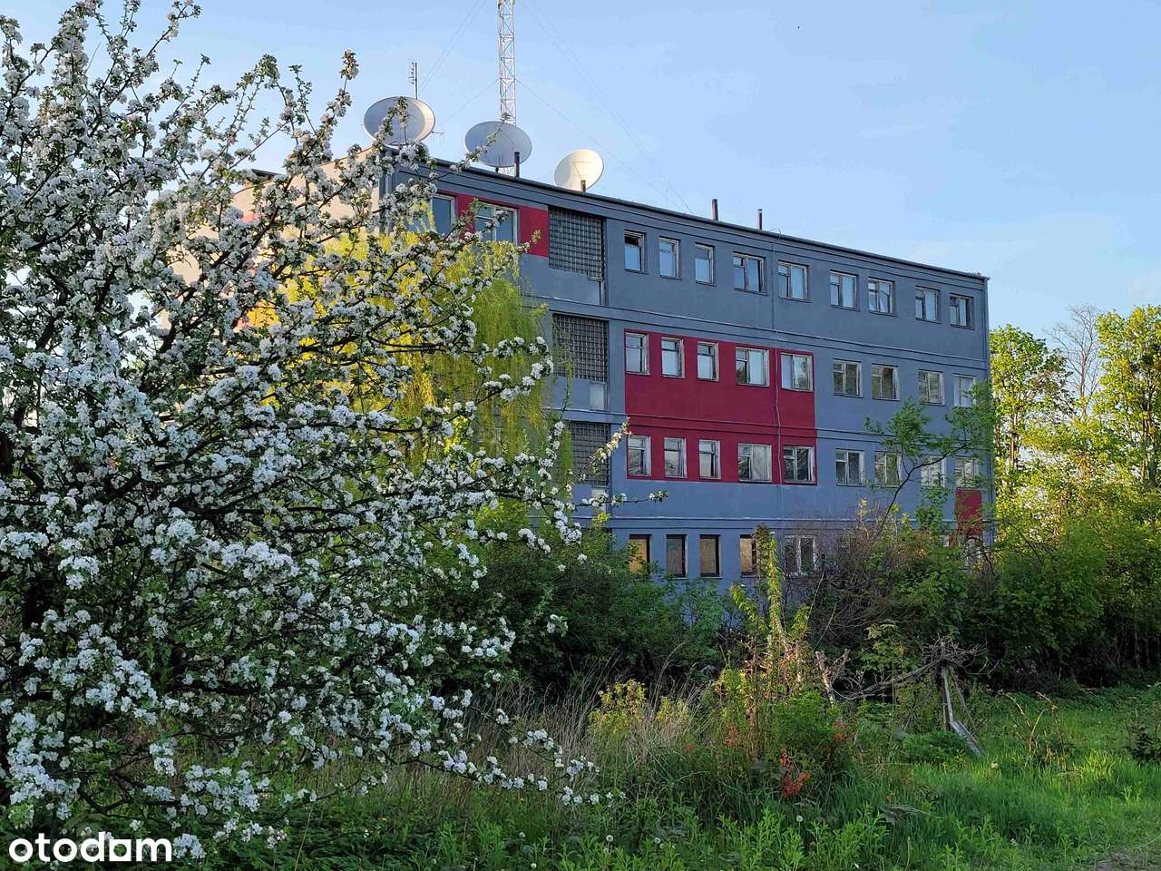 Blok do adaptacji na placówkę medyczną, dom  seniora, rehabilitację.-1