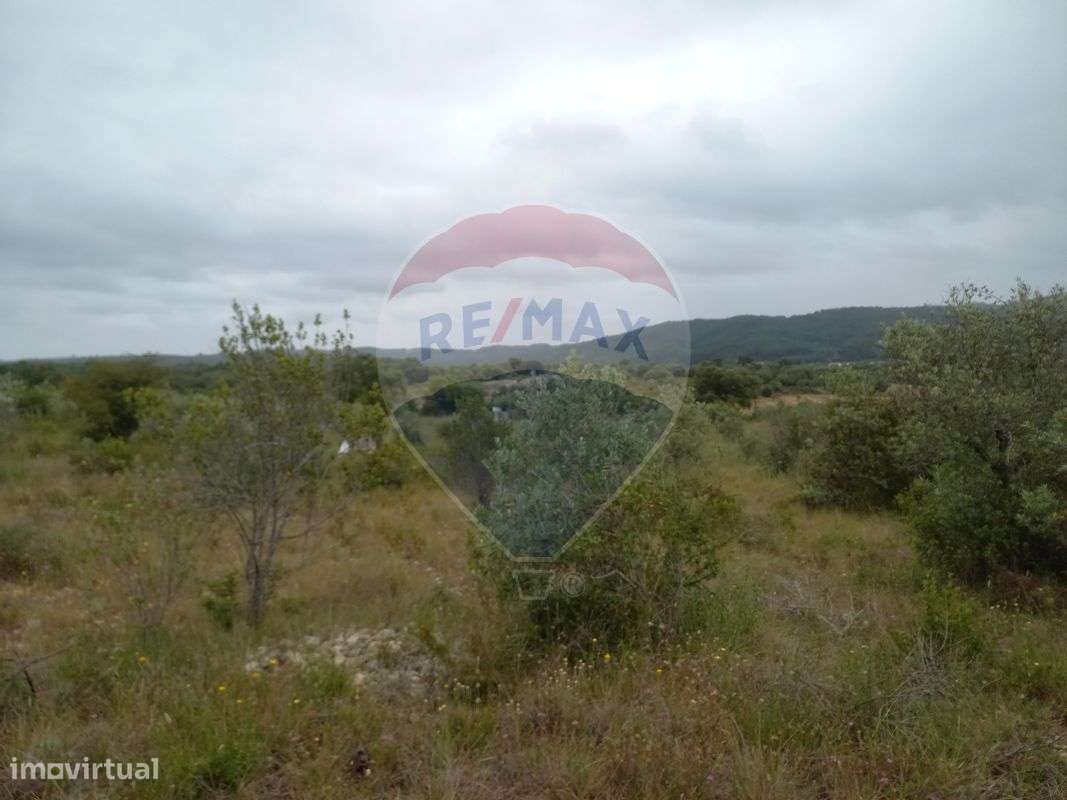 Terreno  para venda - Grande imagem: 4/6