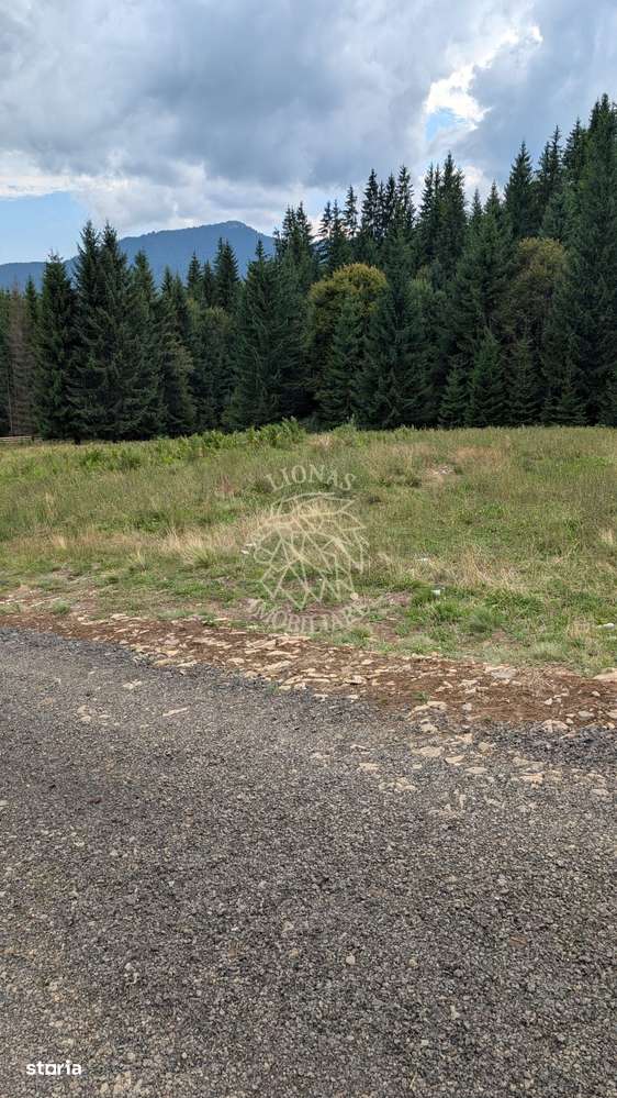 OFERTA! Teren intravilan 530 mp cu utilitati-ideal cabana-Colibita - Imagine principală: 2/3