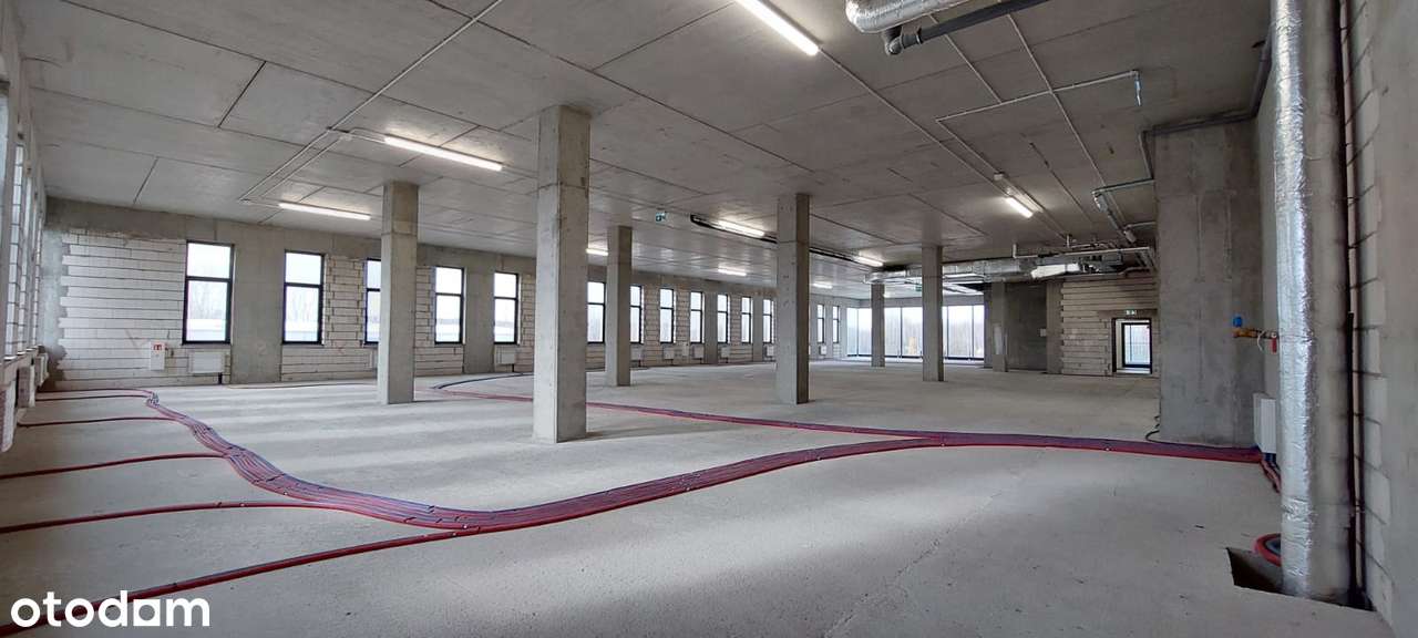 Powierzchnia biurowa - 700 m2 do aranżacji własnej - Pełny obrazek: 5/17