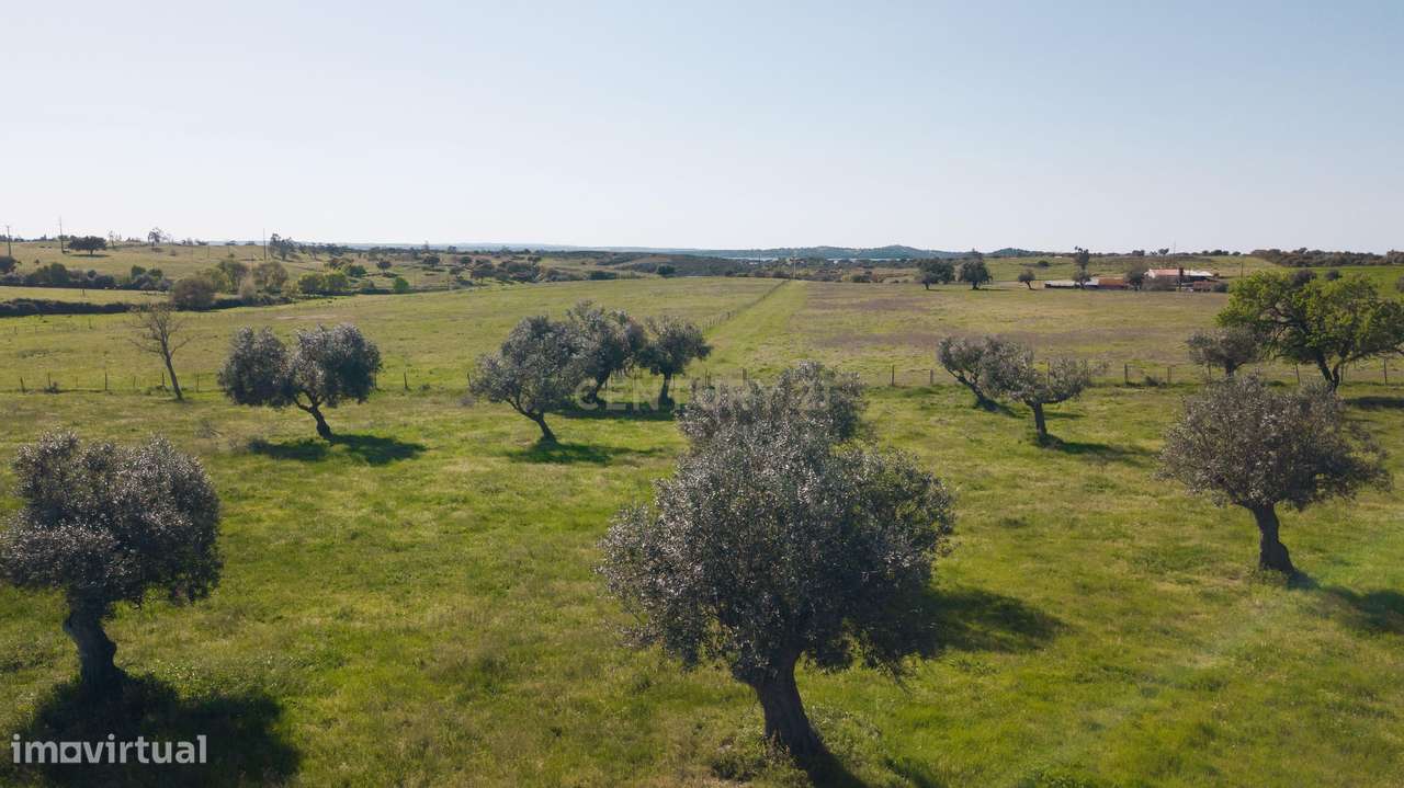 Terreno Mourão - Alentejo - Grande imagem: 4/11