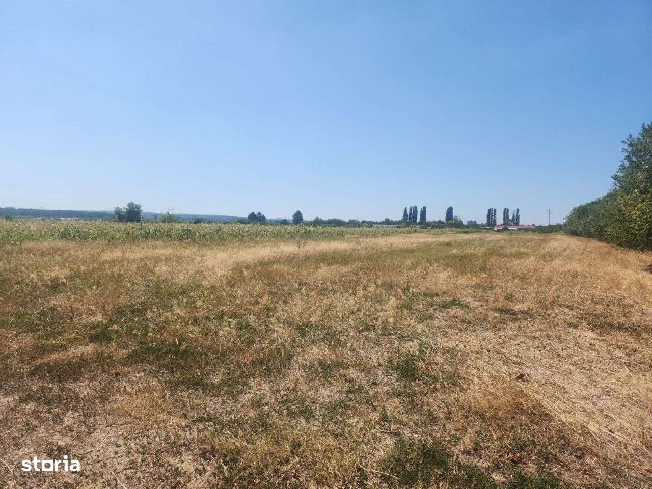 Teren intravilan de vanzare Stefanesti - LIDL - Imagine principală: 1/3