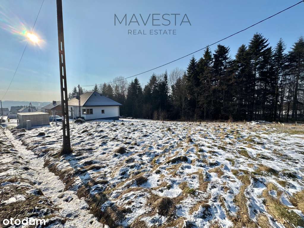 Działka budowlana w sąsiedztwie zagajnika-2