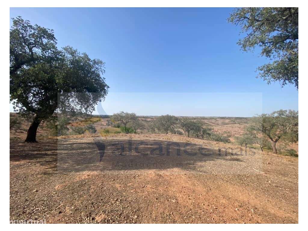 Propriedade de 35 ha - com Monte em Ruínas em Serpa-10