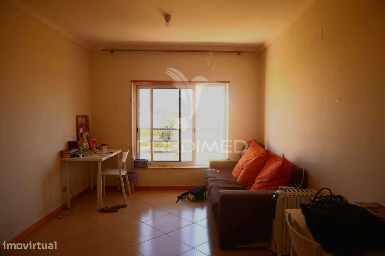 T1+ 1 magnífico: uma grande oportunidade - Grande imagem: 5/14