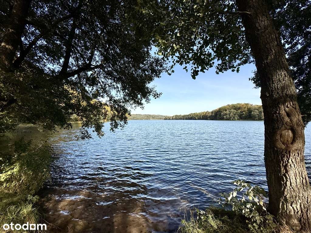 Michalin | bajeczna działka | dom-12