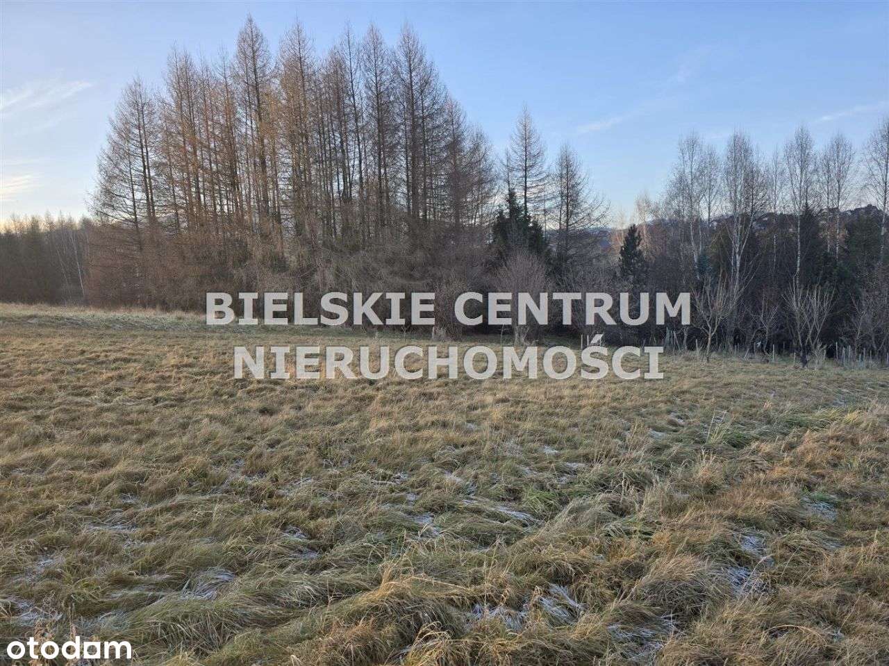 Działka, 10 300 m², Lipowa-10