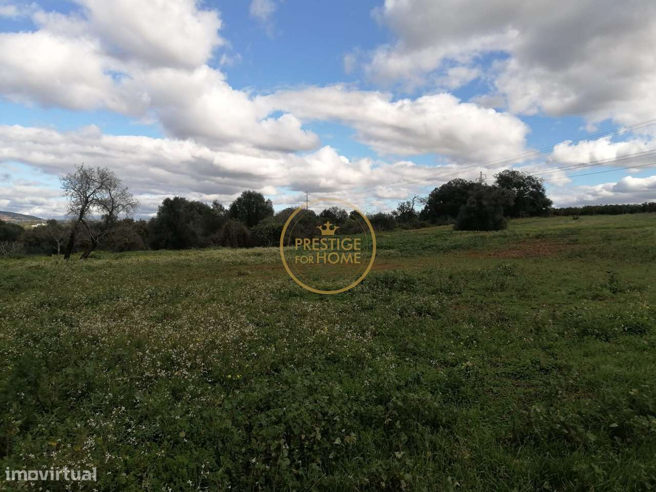 Terreno  vedado, totalmente plano proximo do Triangulo Dourado com agu - Grande imagem: 5/18