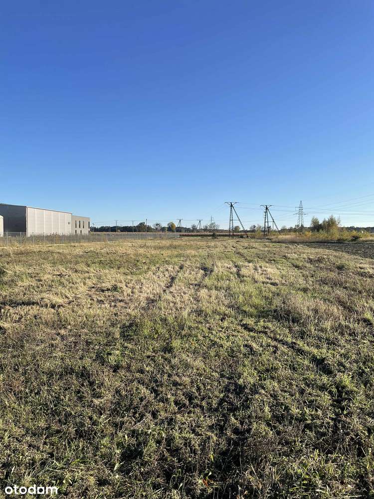 Działka inwestycyjna AG z warunkami zabudowy – Bolechowo-Osiedle - Pełny obrazek: 5/9