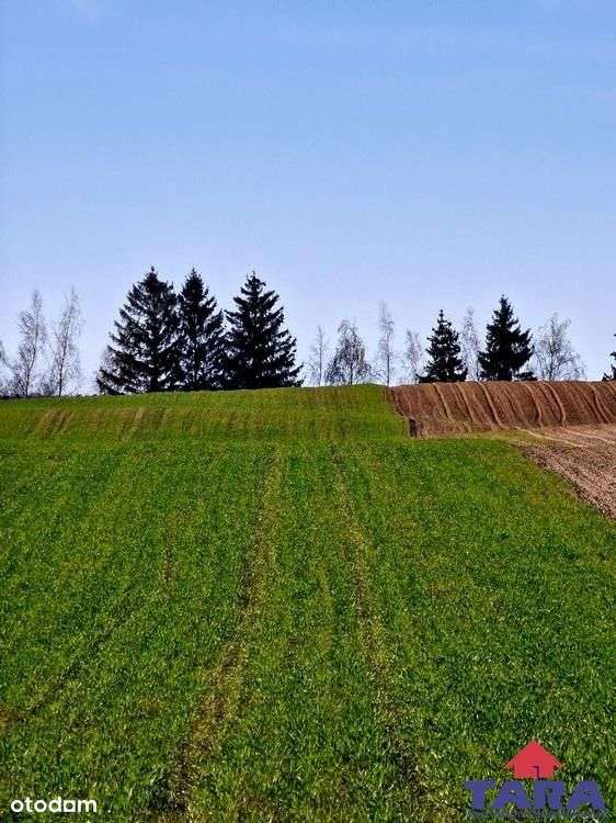 Grunt w Załachowie-8