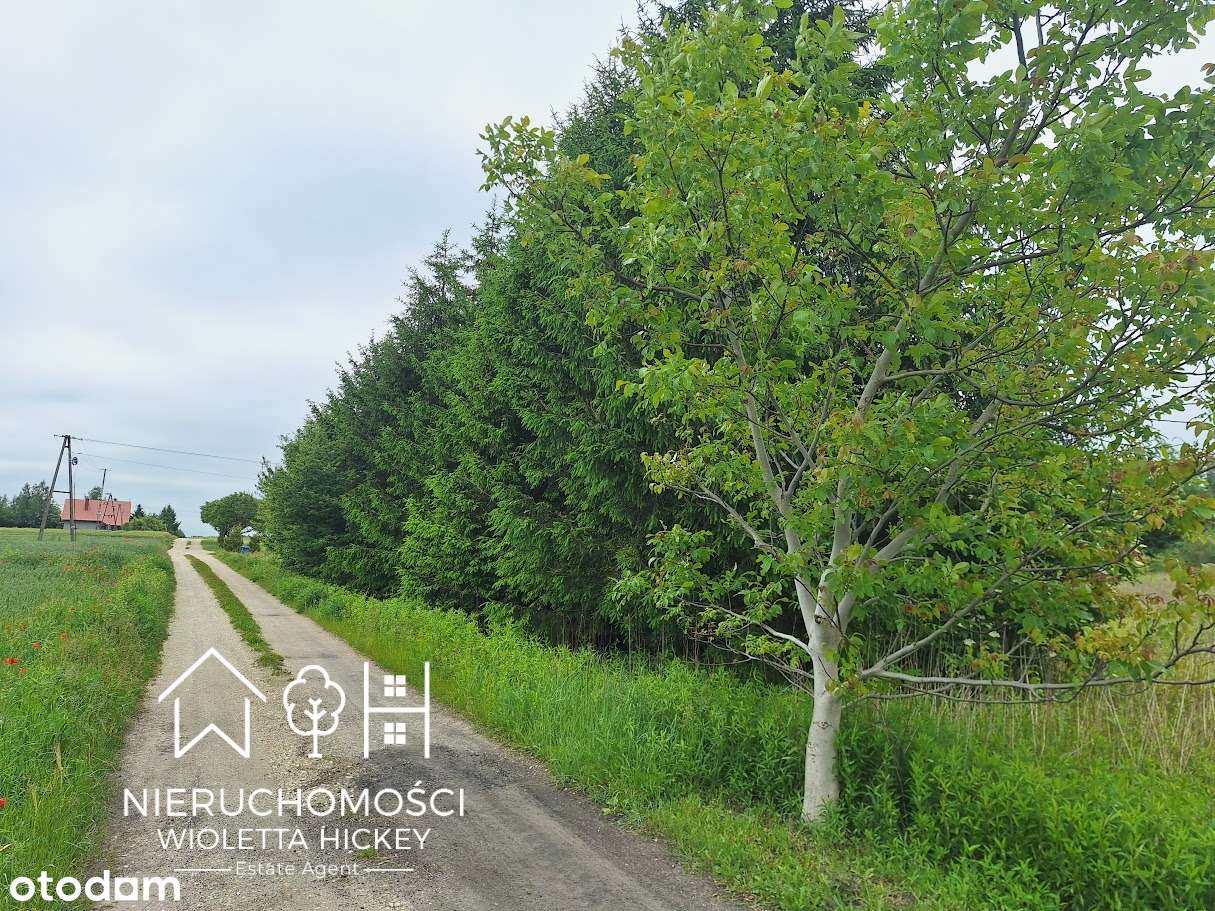 2 Działki w otoczeniu drzew – Wyszyna, gmina Stara Biała k Płocka-9