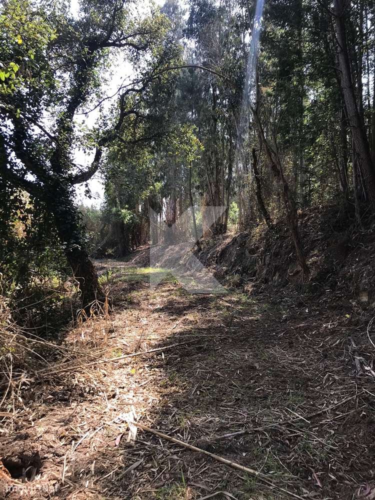 Moradia T7 em Coimbra para restaurar - Grande imagem: 3/27