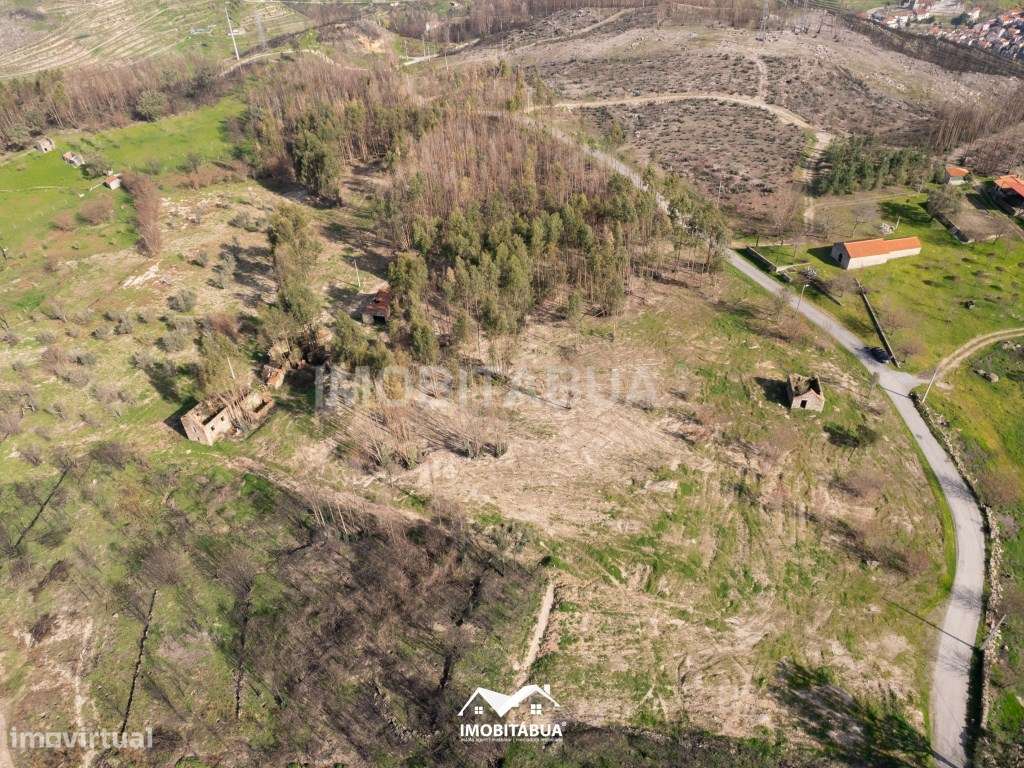 Terreno para construção ou investimento em turismo rural ou Glamping - Grande imagem: 5/18