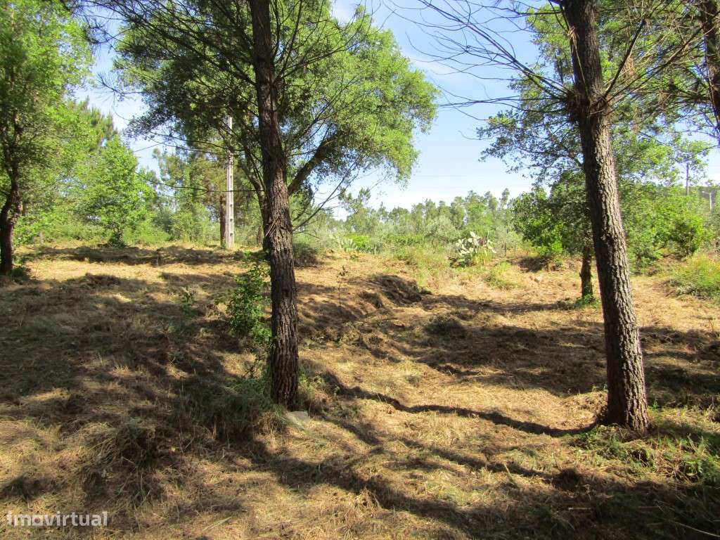 P26-238 Casal da Loba - Terreno Urbanizável no Centro de Portugal e...-12