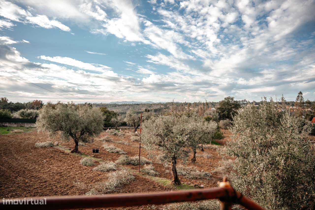 Oportunidade única: conforto, terreno e preço justo-9