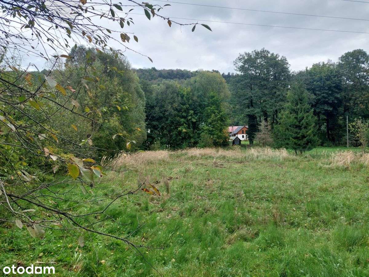 Dom jednorodzinny na dużej działce-3