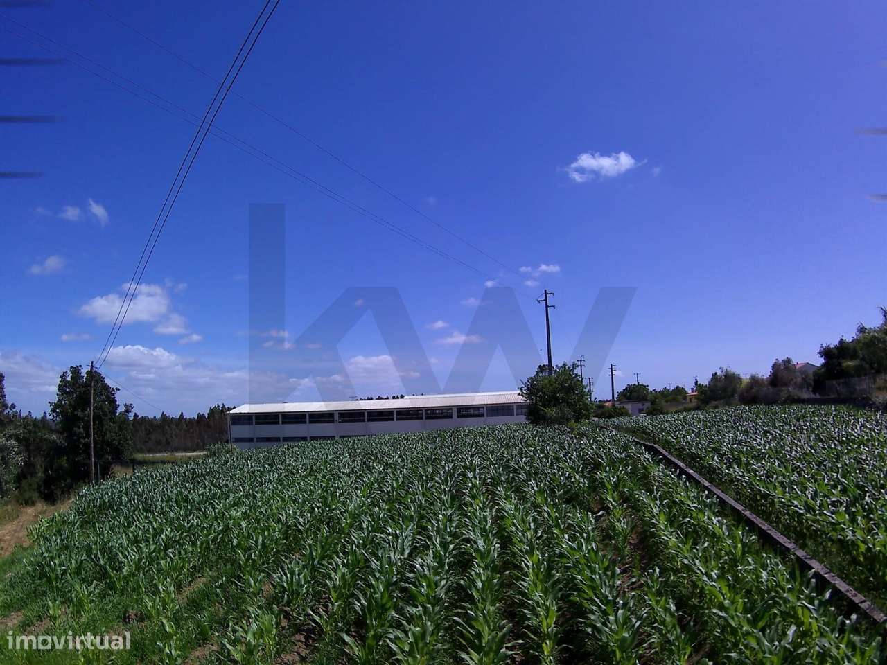 Oportunidade de Investimento: Terreno de 1020 m² para Fins Industriais/ - Mais