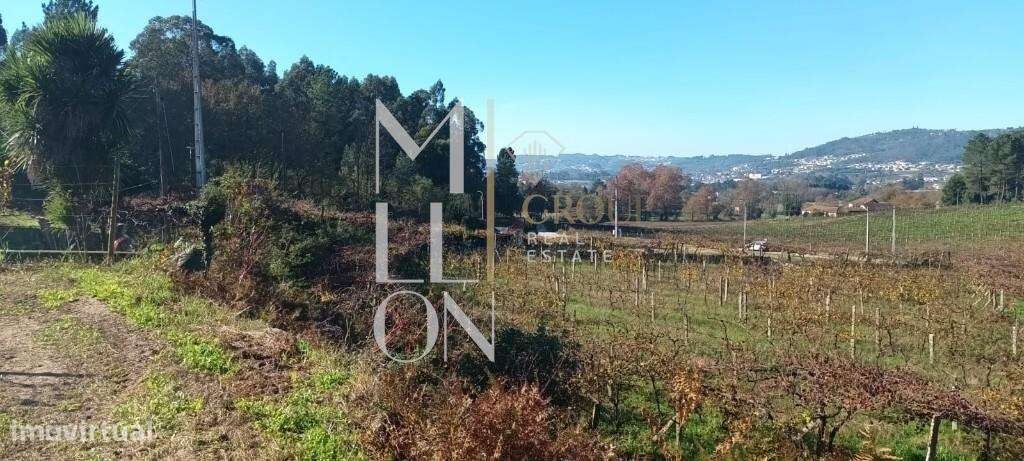 Excelente terreno com 8175m2, situado em Lodares, Lousada. - Grande imagem: 4/23