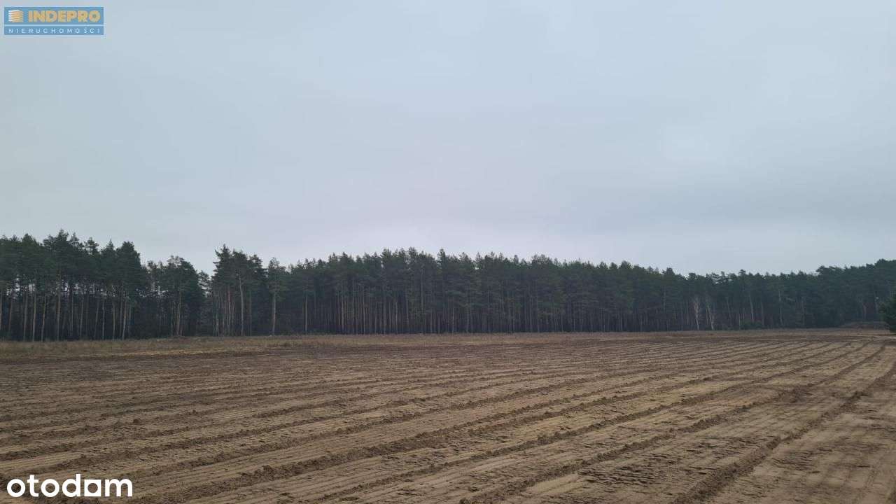 Nowoczesny dom parterowy 134 m² | Klembów-8