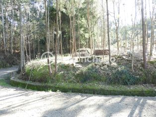 Terreno Rústico com 3051m2 Quintiães - Barcelos - Grande imagem: 2/8