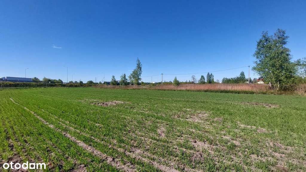 ✅Sprawdź >>> Działka inwestycyjna - Najem -1,1Ha ✅ - Pełny obrazek: 3/9